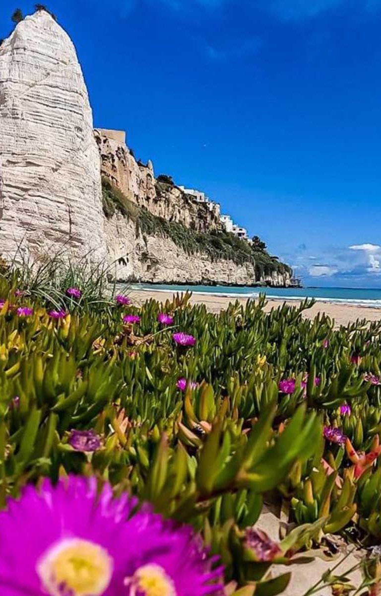 Vieste natura, słońce, plaża