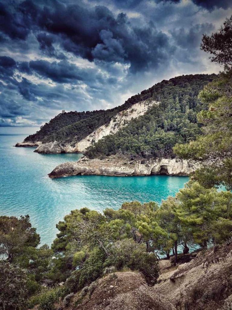 vieste apartament wlochy lokalnie 0014 WhatsApp Image 2023 01 24 at 09.28.16