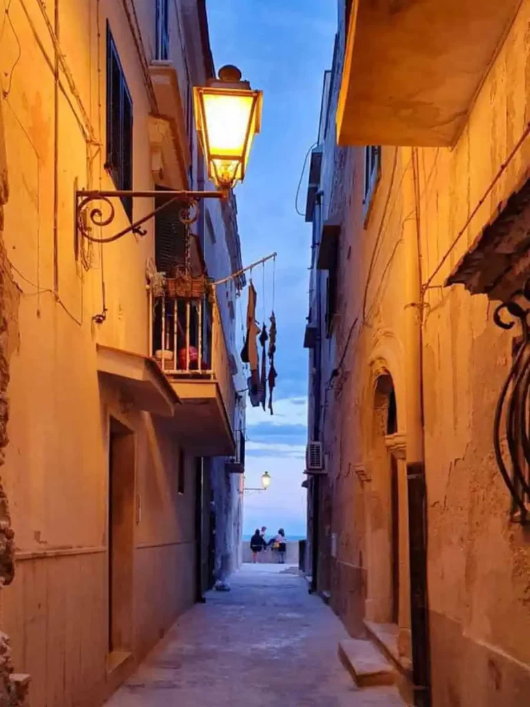 galeria vieste (16) 1